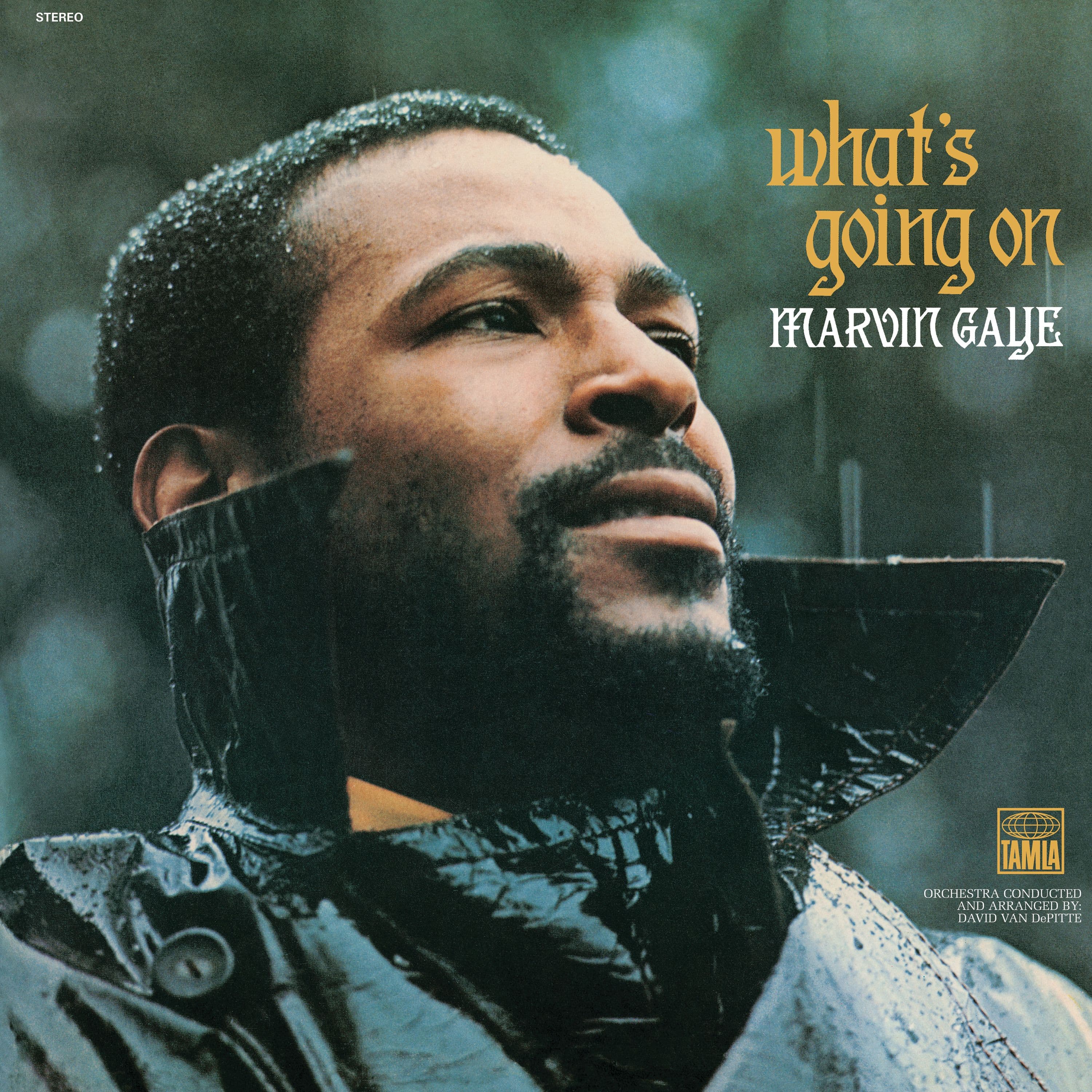 Album cover for What's Going On